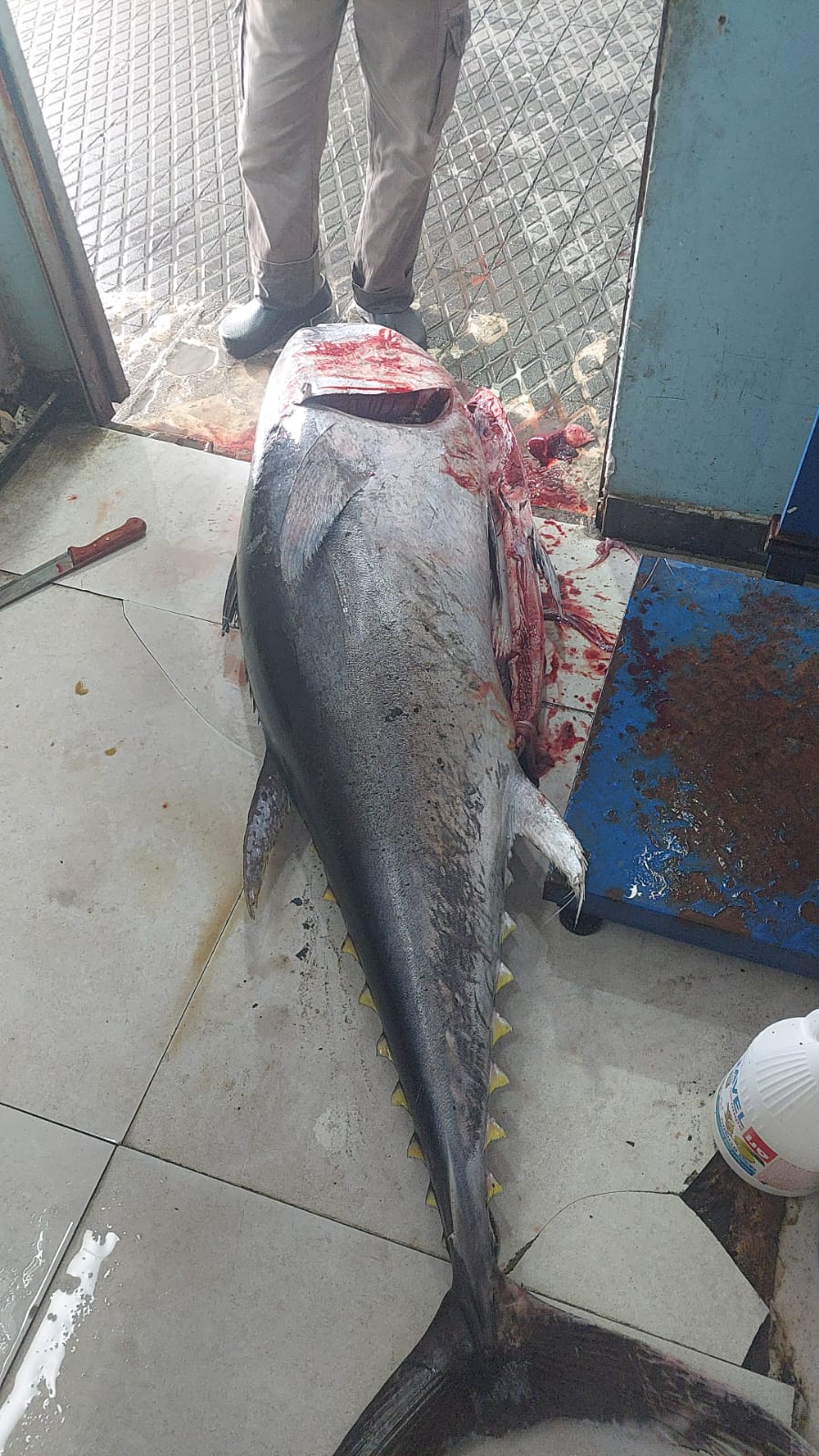 WhatsApp Image 2023-02-22 at 8.22.48 AM.jpeg